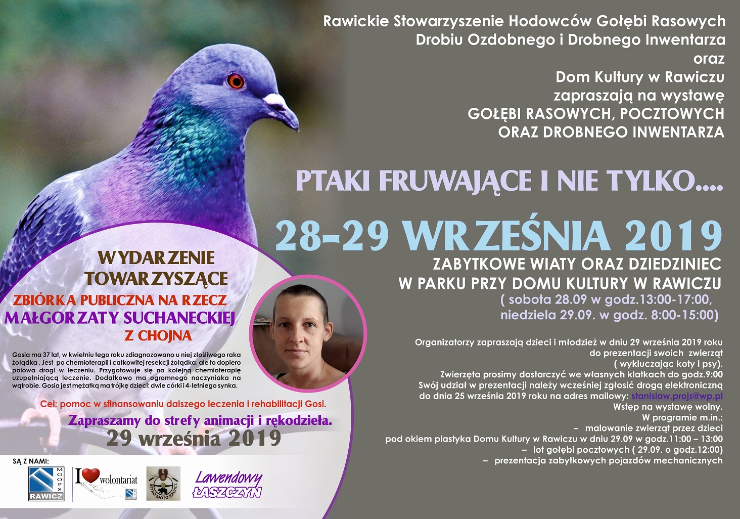 PLAKAT GOLEBIE I CHARYTATYWNY